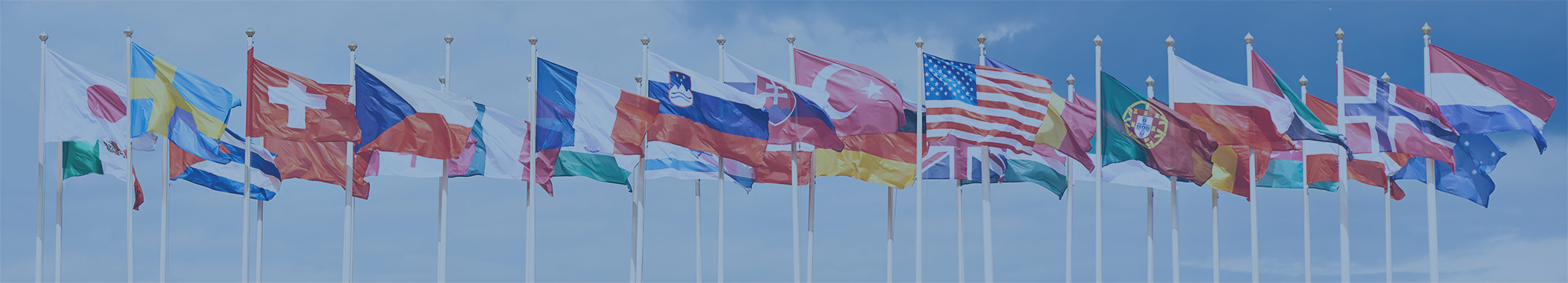 Powiewające flagi państw świata